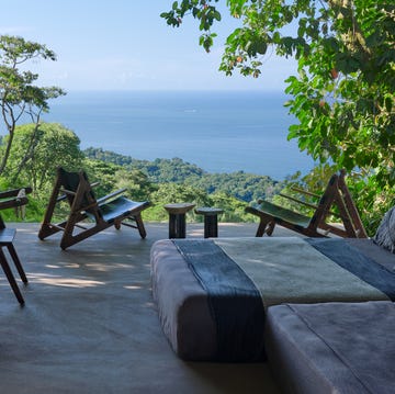 arquitecta diseno su casa en la naturaleza studio house es una vivienda sencilla en la que conviven arquitectura y paisaje