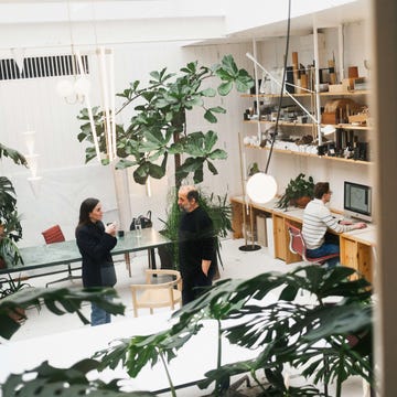 Modern workspace featuring plants and a desk area. Modern workspace featuring plants and a desk area.