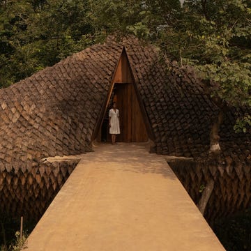 casa campo puente colgante hecha barro ecosistema vivo