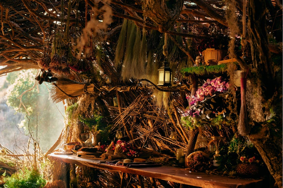 Shelter featuring a natural, rustic interior with various herbal elements.