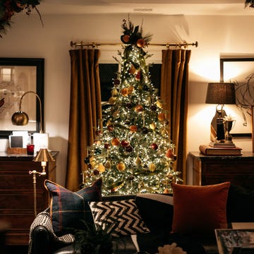 Living room with a decorated Christmas tree