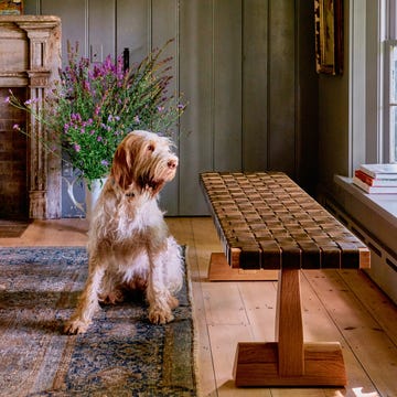 A dog sits beside a unique wooden bench in a cozy interior.