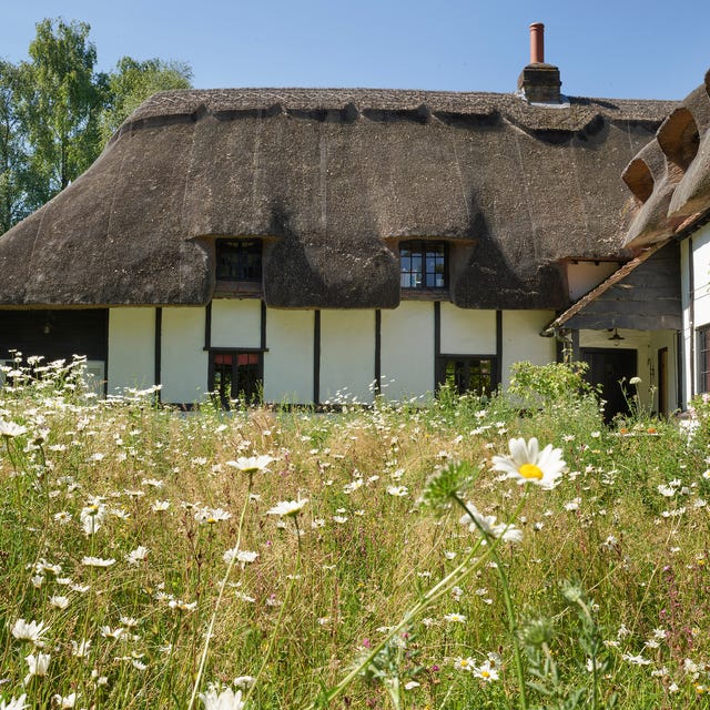 Traditional thatched-roof cottage surrounded by a wildflower meadow.