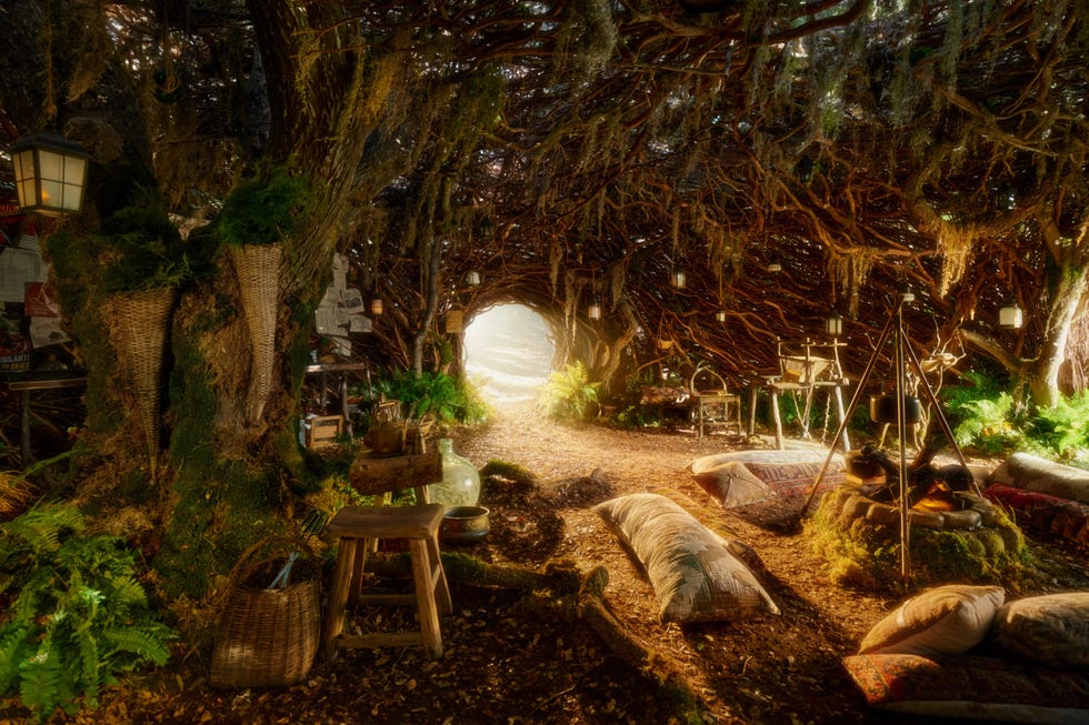 Cozy woodland shelter with seating and natural lighting.