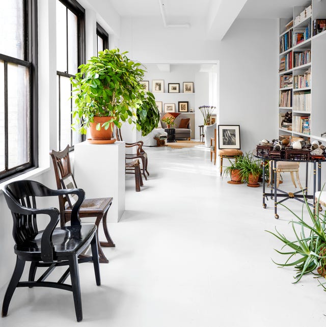 A-List 2024 - ELLE DECOR long white room with built in bookcases on the right and a white pedestal with a large green plant on it an several different types of chaors and a view into a living area with shelves holding frames