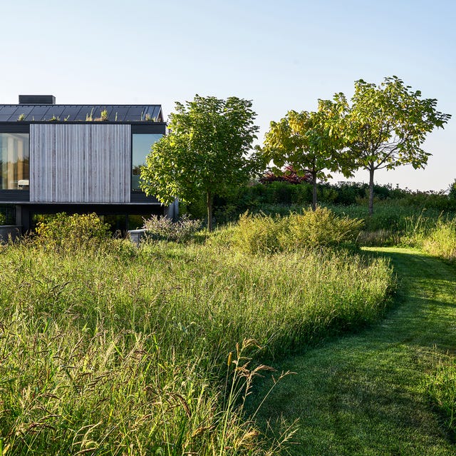 Hollander Design hollander design