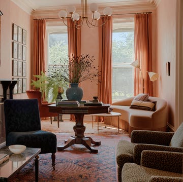 salmon colored living room walls with two windows and curved sofa as well as pair of leopard print armchairs across from a blue sofa