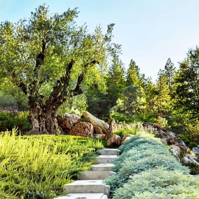 dune hai  elle decor