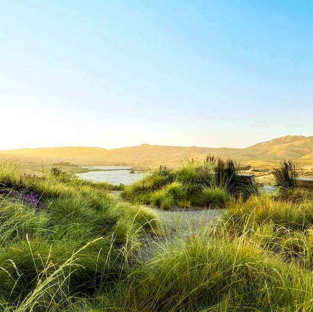 terremoto  elle decor