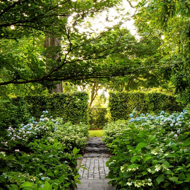 NELSON BYRD WOLTZ nelson byrd woltz