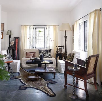 living room with a blend of modern and traditional decor and an alligator shaped rug