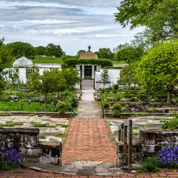 Upperville, Virginia United States - April 29:
Bunny Mellons O Upperville, Virginia United States - April 29:
Bunny Mellons O