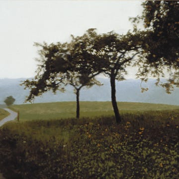 gerhard richter, apfelbäume, 1987 (650 1)