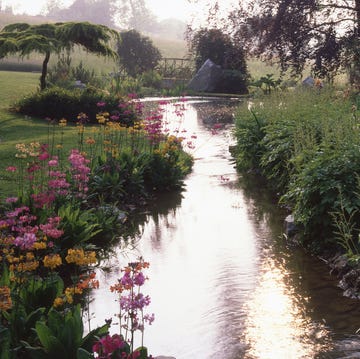 yves saint laurent and pierre berge rescue a derelict garden in normandy