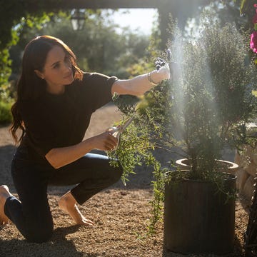 with love, meghan. meghan, duchess of sussex in episode 201 of with love, meghan. cr. jake rosenberg/netflix © 2025