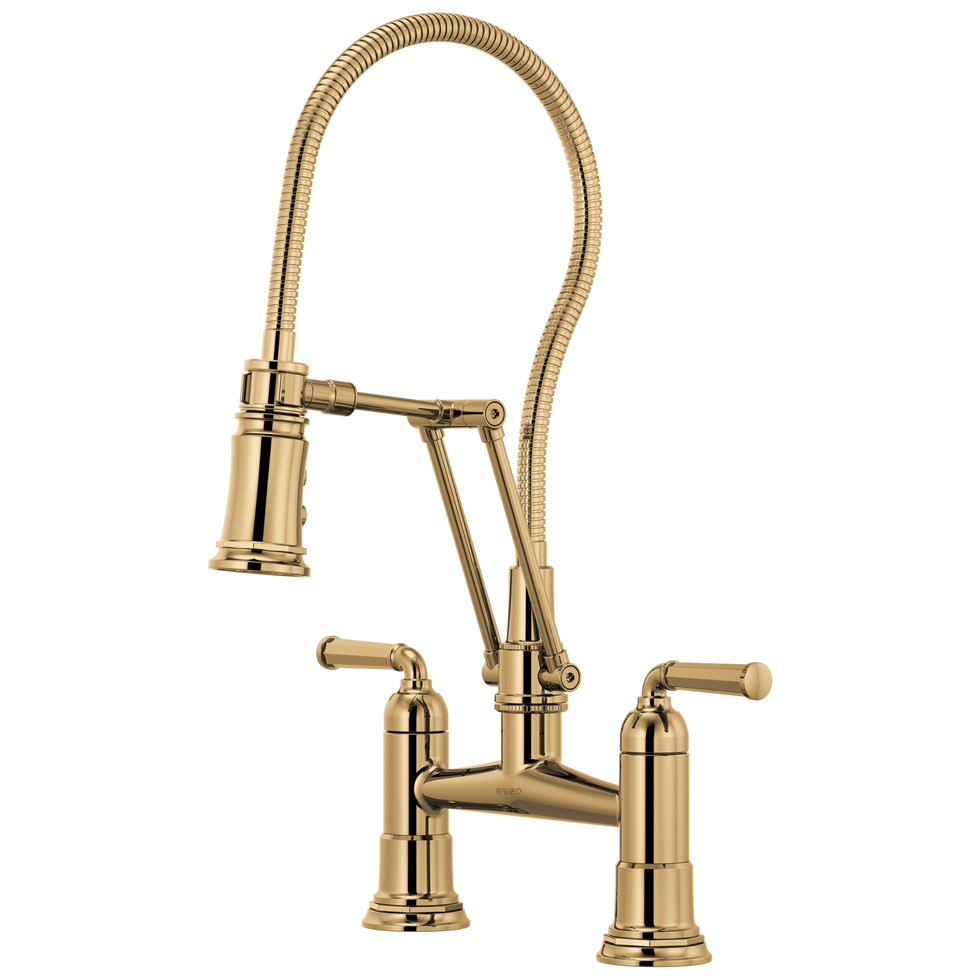 Articulating Bridge Faucet