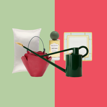 a collection of stylish household items arranged against contrasting backgrounds
